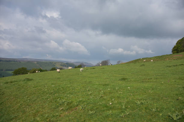istock Dark Grey Skies Over Fields on a Farm 1402665258