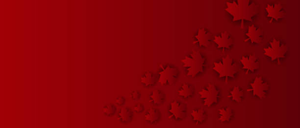 ilustrações de stock, clip art, desenhos animados e ícones de congratulations on canada day. holiday banner with canadian symbols, maple leaves - canadian flag canada flag canada day