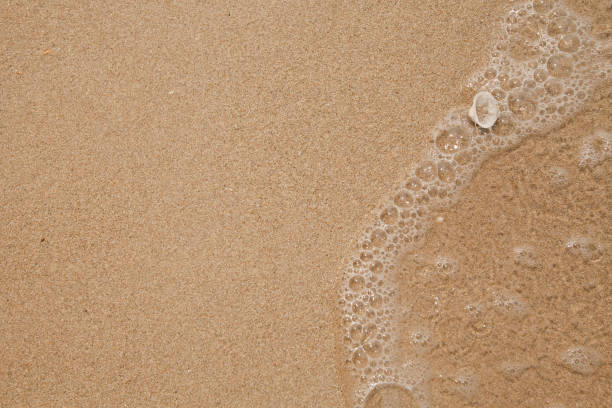 istock Texture of the sea beach sand with a soft lapping wave. 1402667488