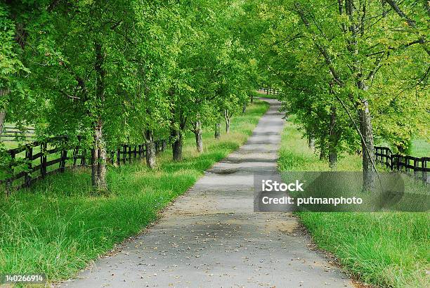 Land Lane In Den Frühling Stockfoto und mehr Bilder von Agrarbetrieb - Agrarbetrieb, Baum, Einspurige Straße