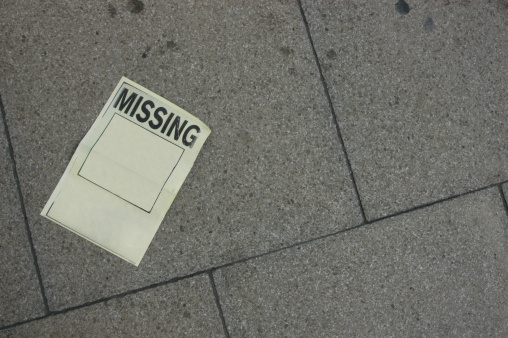                                 a poster for a missing child or person. Te box is empty so you can add your own image, and some text at the bottom.