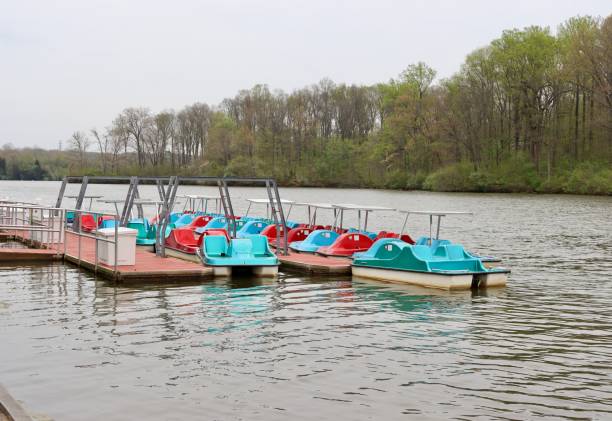 istock Paddle Boat at the Lake 1402670319
