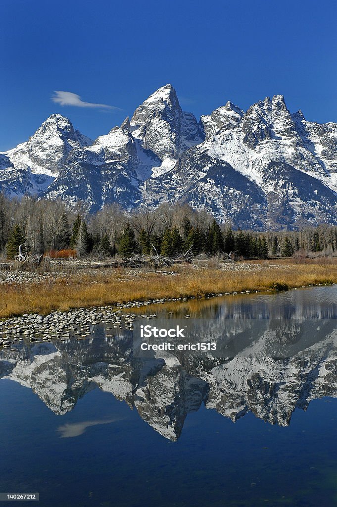 Teton Mountain Range Wyomingq - Photo de Animaux à l'état sauvage libre de droits