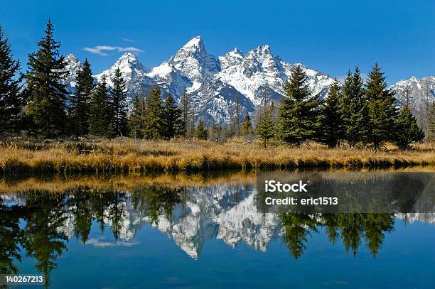 Foto de Cordilheira Teton Refletindo Na Água Do Rio e mais fotos de stock de Animal selvagem - Animal selvagem, Azul, Cobrindo