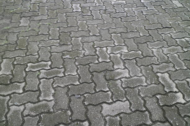istock road with brick paving cover 1402672170