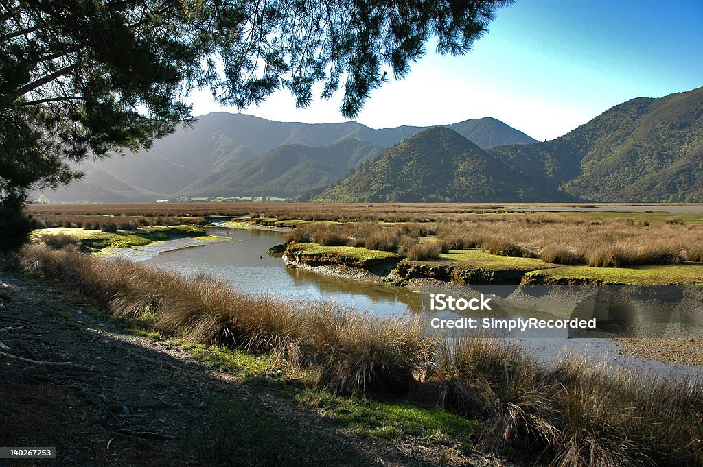 Pelorus River marsh terra - Foto stock royalty-free di Canale