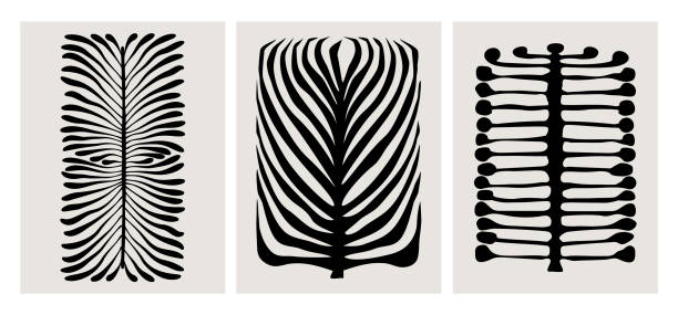 ilustrações, clipart, desenhos animados e ícones de folhas de plantas geométricas abstratas, modelos de impressão gráficas de arte de parede modernas, ilustração vetorial de folhagens de tinta - tropical rainforest illustrations