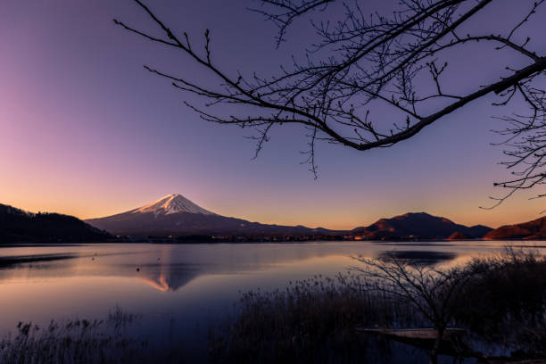 Sunrise View to the Fuji Mount in the Clear Pink and Violet Sky, Sunrise View to the Fuji Mount in the Clear Pink and Violet Sky, Japan lake kawaguchi stock pictures, royalty-free photos & images