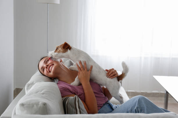 woman chilling with her dog at home. - color image animal dog animal hair imagens e fotografias de stock