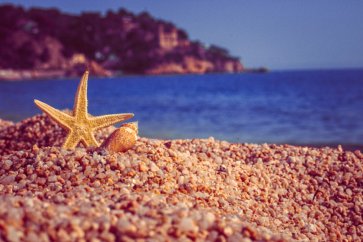 Starfish on the beach. The concept of a summer vacation in exotic countries. Vertical format, selective focus on the star