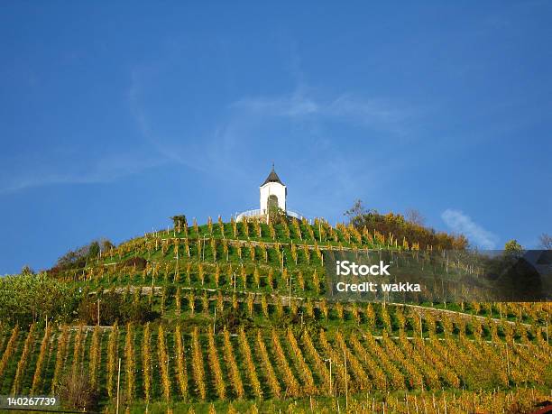 Vinho De Crescimento - Fotografias de stock e mais imagens de Agricultura - Agricultura, Ajardinado, Amarelo