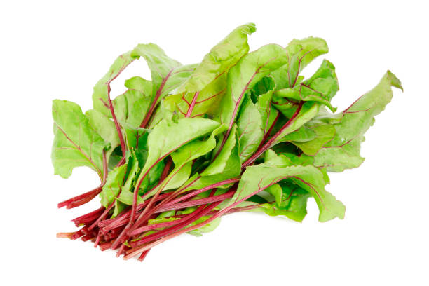 istock Red beet leaves on white background, vegetarian salad. 1402678160
