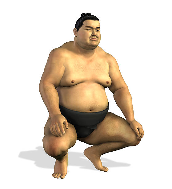 Sumo Wrestler 2 stock photo