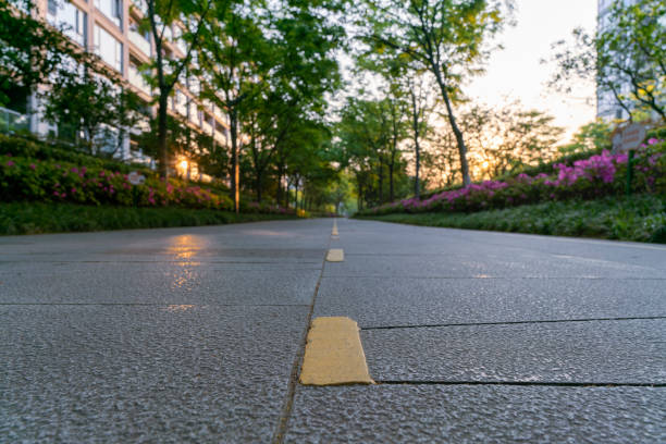 boulevard in residential area