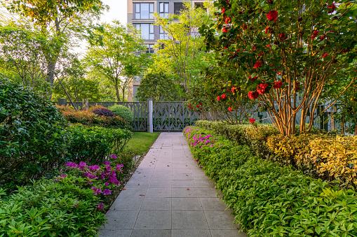 A flowery path beside the front road of a residential building