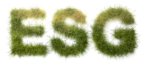 istock Green grass letters ESG isolated on white with shadows. Some grass on top withering. Concept for problems with fake / badly monitored ESG (environment social governance) standards in investing. 1402680354
