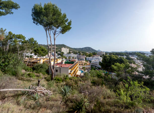 Cala Fornells and Platja Palmira beach in Peguera, Mediterranean Sea, Balearic Islands, Spain Cala Fornells and Platja Palmira beach in Peguera, Mediterranean Sea, Balearic Islands, Spain, Europe seaside views of cala fornells mallorca stock pictures, royalty-free photos & images