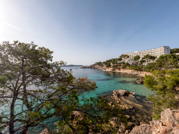 Cala Fornells and Platja Palmira beach in Peguera, Mediterranean Sea, Balearic Islands, Spain Cala Fornells and Platja Palmira beach in Peguera, Mediterranean Sea, Balearic Islands, Spain, Europe seaside views of cala fornells mallorca stock pictures, royalty-free photos & images