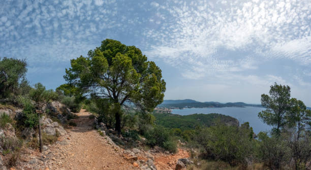 Viewpoint of the Majorca coastline with the view on the sea, cliffs, forest and summer sky, Mallorca, Balearic islands, Spain Panoramic view of the Majorca coast with the view on the sea, cliffs, forest and summer sky, Mallorca, Balearic islands, Spain, Europe seaside views of cala fornells mallorca stock pictures, royalty-free photos & images