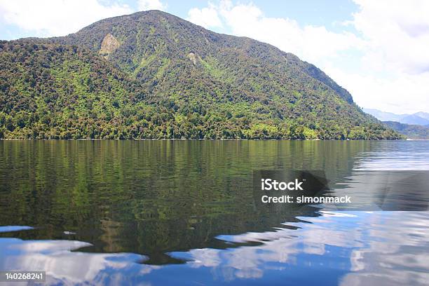 Fern Hill Stock Photo - Download Image Now - Animals In The Wild, Beach, Beauty