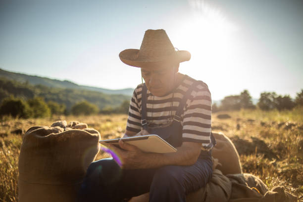 istock The senior farmer has just finished work in the wheat field 1402689773