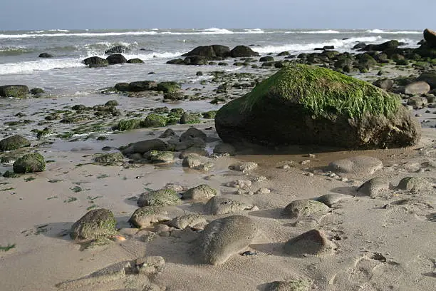 stony eastgermany baltic-sea coust in KAhlungsborn after the sandstorm on a morning in autumn