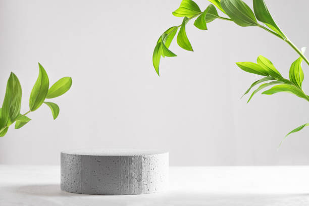 istock Concrete podium and green leaves 1402690959