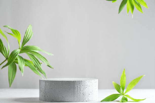 istock Empty stone podium and green leaves 1402691080