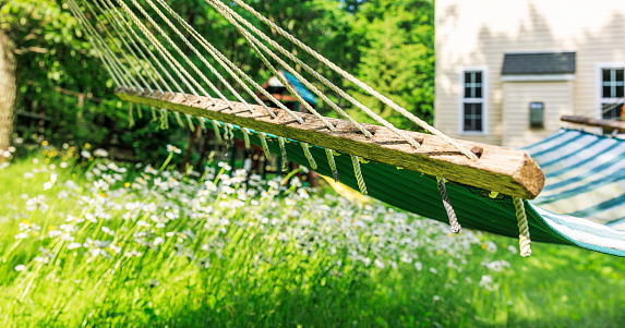 Old hammock handed in the backyard, with daisies blooming in the backdrop.