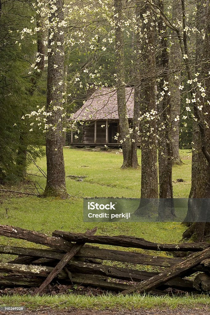 Smoky Mountain Springtime Smoky Mountain cabin with rail fence and blooming dogwoods. Cades Cove Stock Photo
