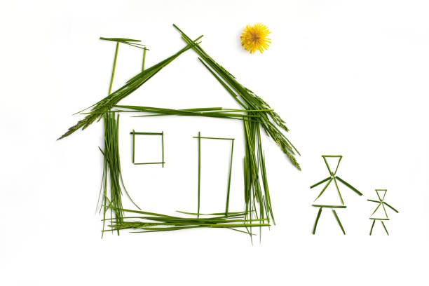 Grass House is with people isolated on the white background