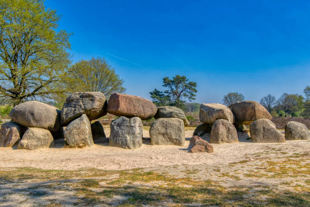 havelte hunebed - dolmen imagens e fotografias de stock