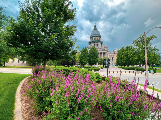 Illinois State Capitol Views Summer views of the Illinois State Capitol Building in Springfield, IL, USA. Purple summer blooms and green leafy trees in the foreground. The Capitol Building in the distance with thick cloud cover. springfield illinois skyline stock pictures, royalty-free photos & images