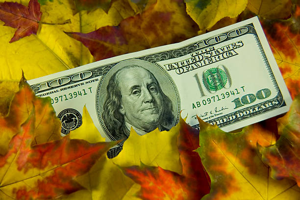 istock Hundred dollar bill in autumn leaves 140269606