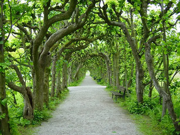 Part of the Dachau Castle's garden, near Munich, Germany.