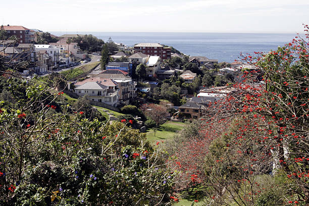 istock Coastal Garden, Sydney 140270008