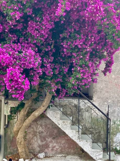 istock Greece - Corfu - chlomos village 1402700561