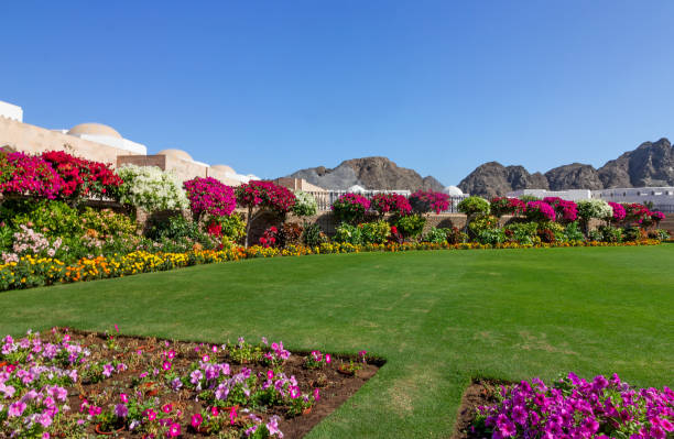 Muscat, Oman. Mountain town view. Sultan Qaboos palace. stock photo