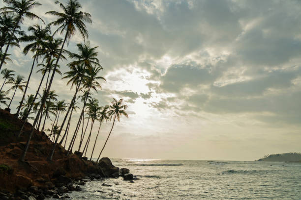 istock Sunset landscape view with palms, Sri Lanka, Mirissa 1402702809