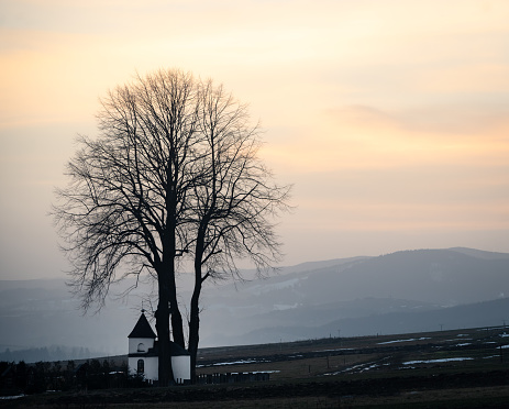 Small chapel under the tree caching the last light during sunset, Slovakia, Europe
