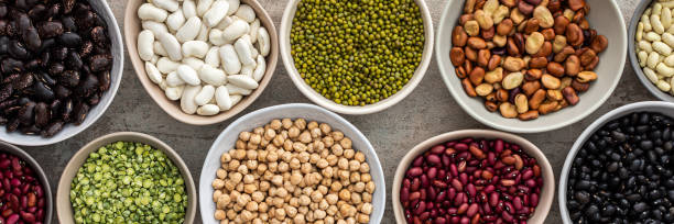 istock Different types of legumes in bowls 1402702891