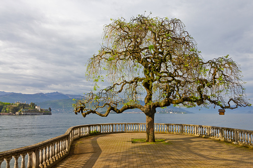 Landscape view of the Alpine lake, Woerthersee, and its parking lots in the southern Austrian state of Carinthia