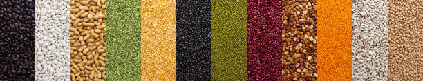 istock Banner of different types of legumes 1402702918