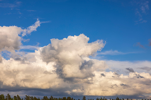 Beautiful blue sky landscape with storm clouds over tops of forest trees. Sweden.