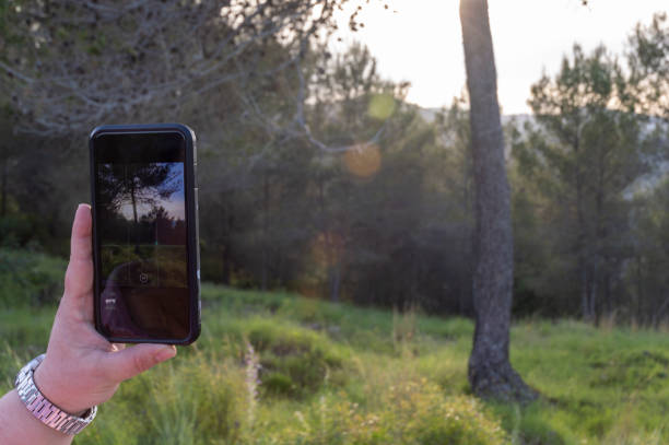 istock hand holding a mobile phone while photographing the pine forest 1402703880