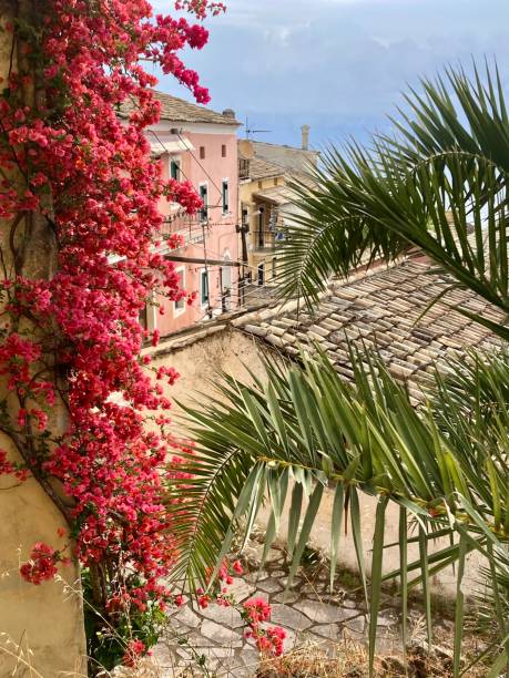 Greece - Corfu - the village of Chlomos lies in the south of the island of Corfu and is a traditional village with colourful old houses and pretty flowering alleys