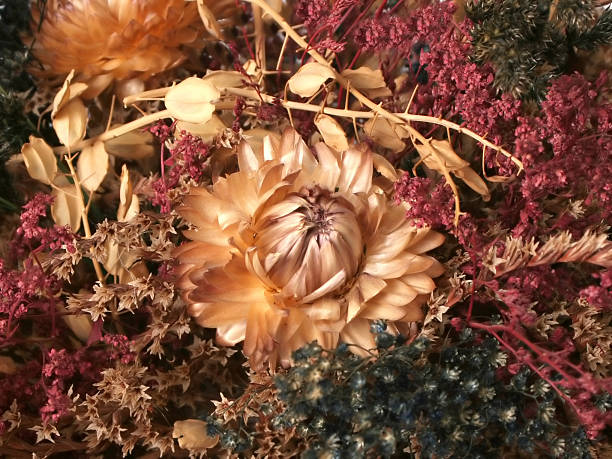 istock Dried Floral Arrangement 140271016
