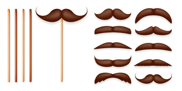 Realistic fake mustache on a wooden stick. Vintage paper mustache for carnival or holiday. Various brown facial hair, fashionable hipster beard. Vector illustration Realistic fake mustache on a wooden stick. Vintage paper mustache for carnival or holiday. Various brown facial hair, fashionable hipster beard. Vector illustration. stick plant part stock illustrations
