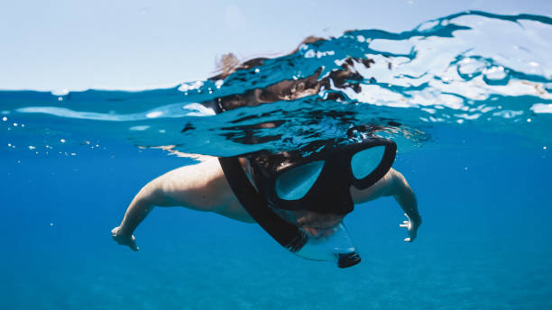 istock Snorkeling and free diving underwater 1402713698