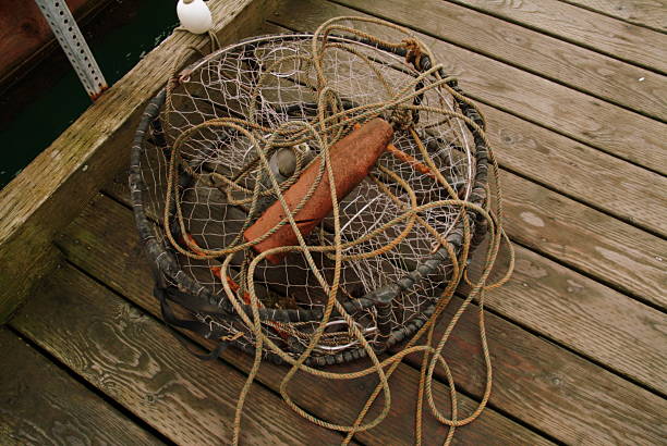 Krake Pot 10+ Alaska Crab Pot Stock Photos, Pictures & Royalty-Free Images - iStock
